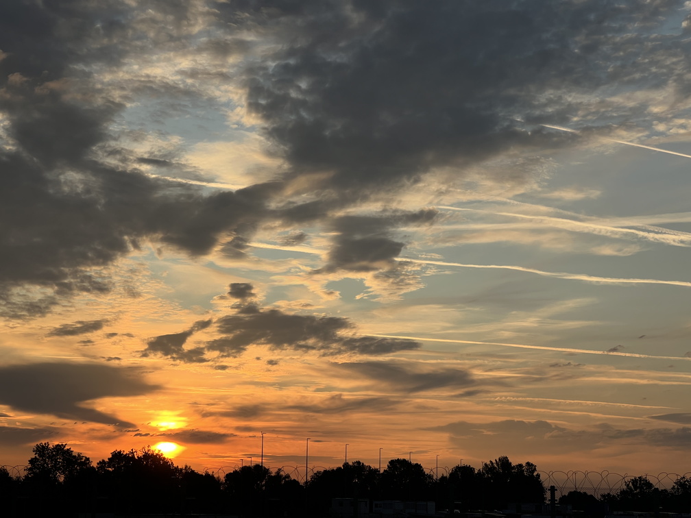 20250706 - MUC - Stacheldrahtromantik.jpg