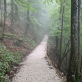 05.08.2021 Im Nebel nach oben