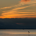Der Himmel glüht über dem Bodensee