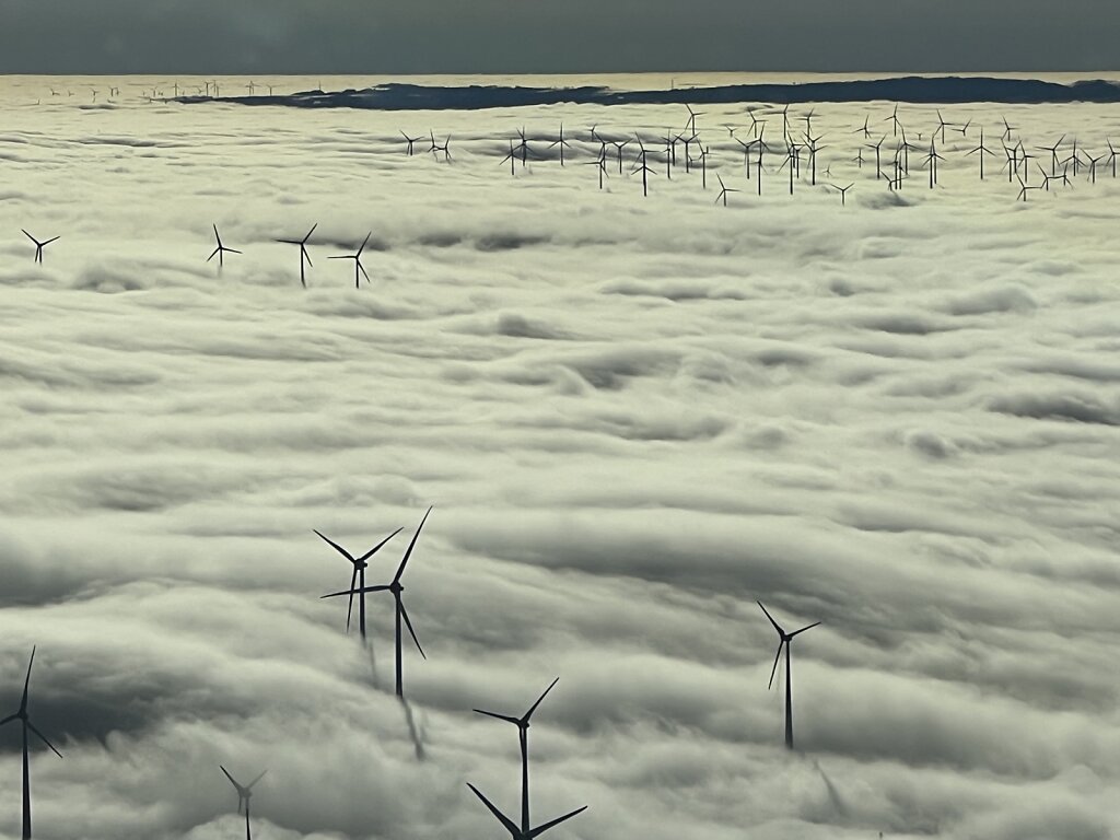 26.12.2024 München - Paderborn | Windspargel im Nebelmeer